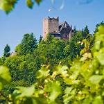 Burg Arras 3* Alf