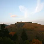 Burg Arras מלון אלף