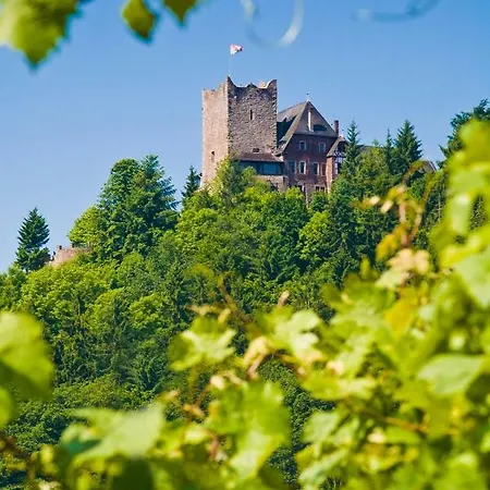 Burg Arras 3* Alf