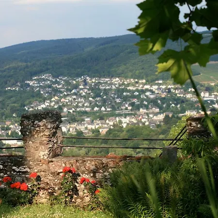 Burg Arras Alf