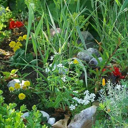 Hotell Burg Arras Alf