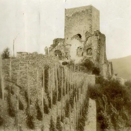 Burg Arras 3* Alf