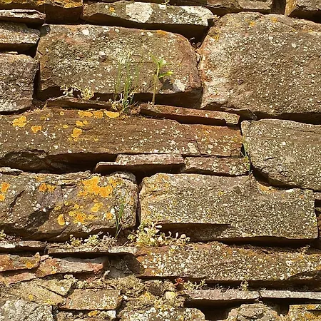 Burg Arras 3* Alf