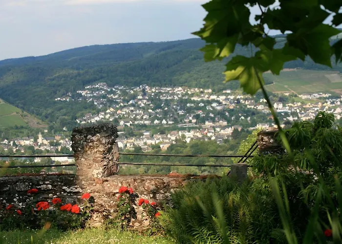 Burg Arras Alf