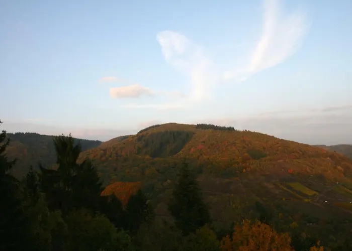 Burg Arras Отель Альф