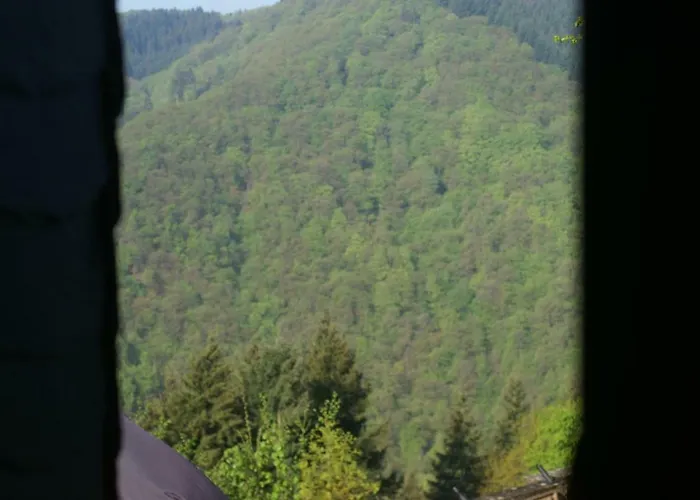 伯格阿拉斯酒店 3* 阿尔夫