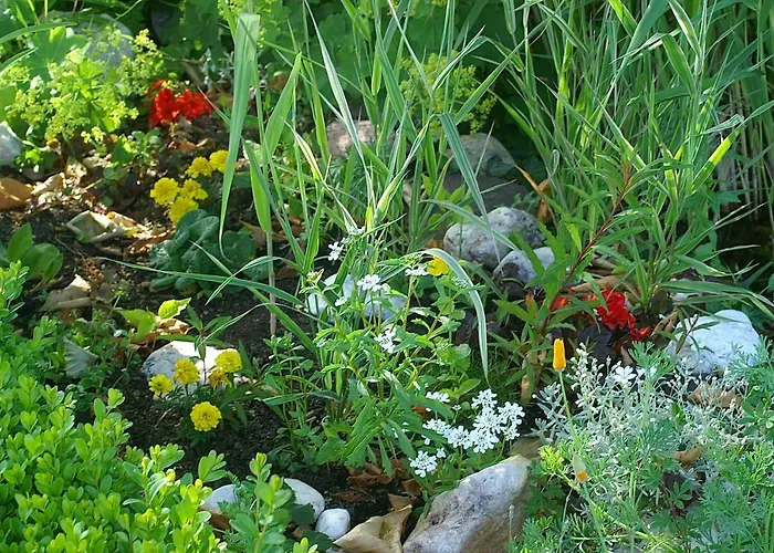 Отель Burg Arras Альф