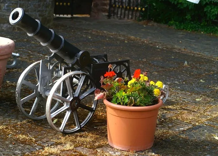 酒店 伯格阿拉斯酒店